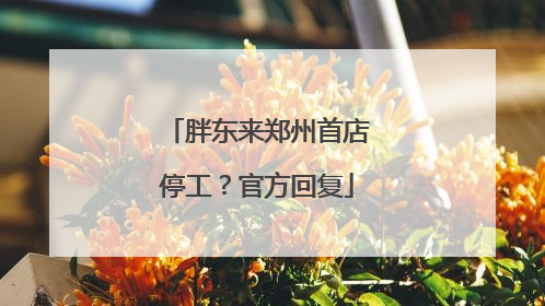 胖东来郑州首店停工？官方回复