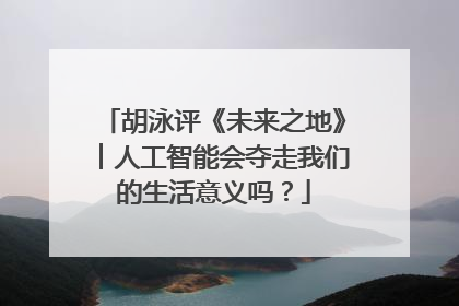 胡泳评《未来之地》︱人工智能会夺走我们的生活意义吗？