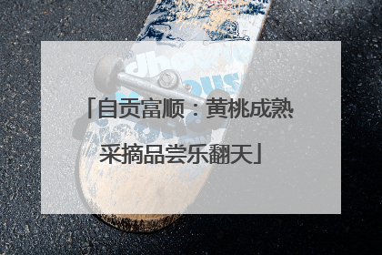 自贡富顺：黄桃成熟 采摘品尝乐翻天