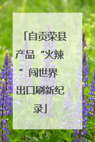 自贡荣县产品“火辣”闯世界 出口刷新纪录