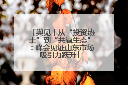 舆见丨从“投资热土”到“共赢生态”：峰会见证山东市场吸引力跃升