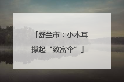 舒兰市：小木耳撑起“致富伞”