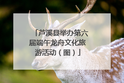 芦溪县举办第六届端午龙舟文化旅游活动（图）