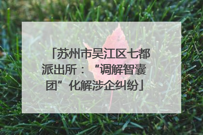 苏州市吴江区七都派出所：“调解智囊团”化解涉企纠纷