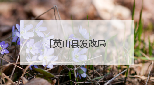 英山县发改局多举措扎实推进粮食系统“安全生产月”活动