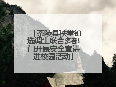 茶陵县秩堂镇选调生联合多部门开展安全宣讲进校园活动