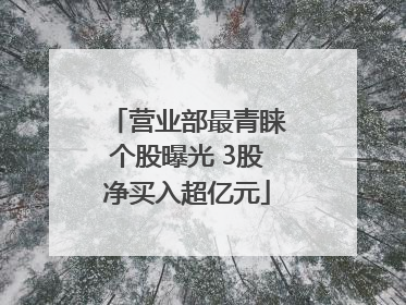 营业部最青睐个股曝光 3股净买入超亿元