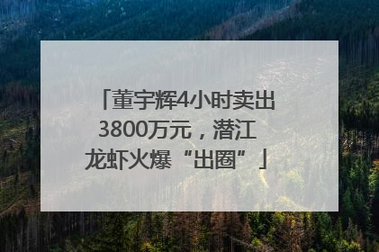 董宇辉4小时卖出3800万元，潜江龙虾火爆“出圈”