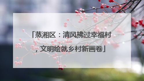 蒸湘区：清风拂过幸福村，文明绘就乡村新画卷