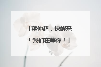 蒋仲超，快醒来！我们在等你！