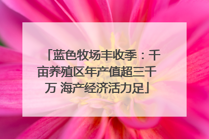 蓝色牧场丰收季：千亩养殖区年产值超三千万 海产经济活力足