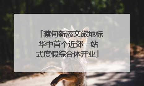 蔡甸新添文旅地标 华中首个近郊一站式度假综合体开业