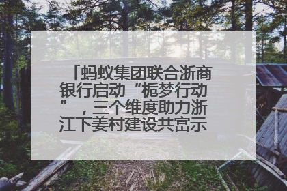 蚂蚁集团联合浙商银行启动“栀梦行动”，三个维度助力浙江下姜村建设共富示范区示范点