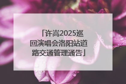 许嵩2025巡回演唱会洛阳站道路交通管理通告