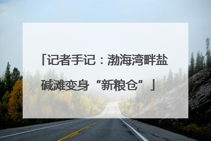 记者手记：渤海湾畔盐碱滩变身“新粮仓”