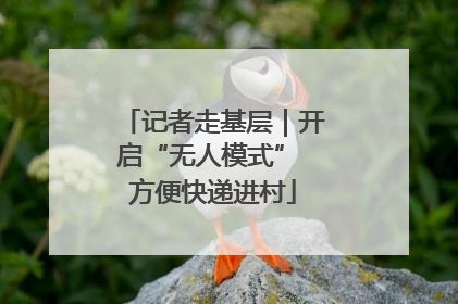 记者走基层｜开启“无人模式” 方便快递进村