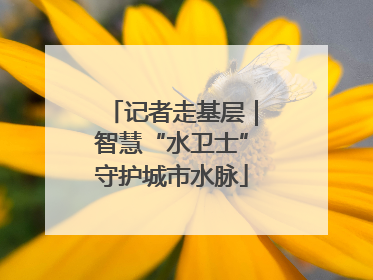 记者走基层｜智慧“水卫士”守护城市水脉