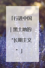 行进中国｜黑土地的“长期主义”