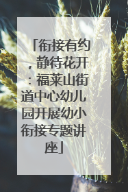 衔接有约，静待花开：福莱山街道中心幼儿园开展幼小衔接专题讲座