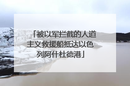 被以军拦截的人道主义救援船抵达以色列阿什杜德港