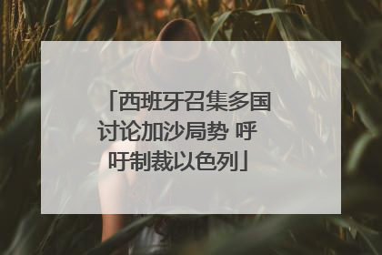 西班牙召集多国讨论加沙局势 呼吁制裁以色列