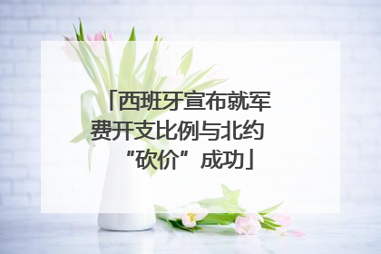 西班牙宣布就军费开支比例与北约“砍价”成功