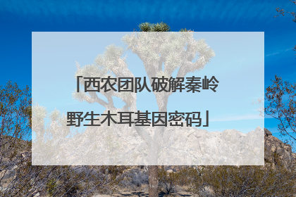 西农团队破解秦岭野生木耳基因密码
