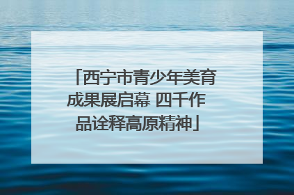 西宁市青少年美育成果展启幕 四千作品诠释高原精神