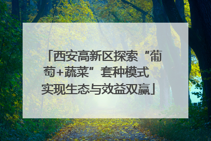 西安高新区探索“葡萄+蔬菜”套种模式 实现生态与效益双赢