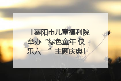 襄阳市儿童福利院举办“绿色童年 快乐六一”主题庆典