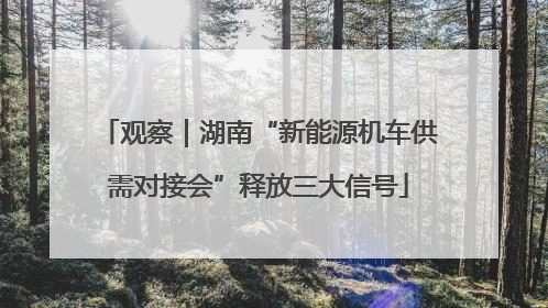 观察｜湖南“新能源机车供需对接会”释放三大信号