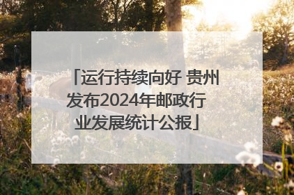 运行持续向好 贵州发布2024年邮政行业发展统计公报