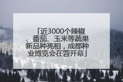 近3000个辣椒、番茄、玉米等蔬果新品种亮相，成都种业博览会在蓉开幕