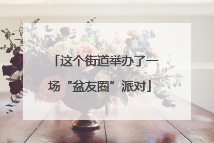 这个街道举办了一场“盆友圈”派对