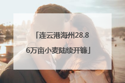 连云港海州28.86万亩小麦陆续开镰