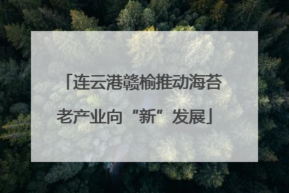 连云港赣榆推动海苔老产业向“新”发展