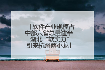 软件产业规模占中部六省总量逾半 湖北“软实力”引来杭州两小龙