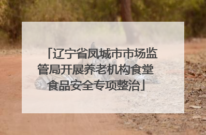 辽宁省凤城市市场监管局开展养老机构食堂食品安全专项整治