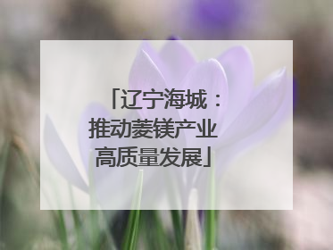 辽宁海城：推动菱镁产业高质量发展