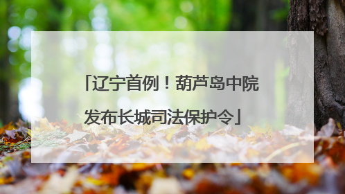 辽宁首例！葫芦岛中院发布长城司法保护令