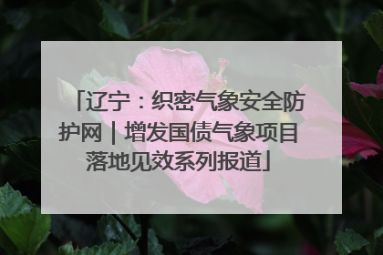 辽宁：织密气象安全防护网｜增发国债气象项目落地见效系列报道