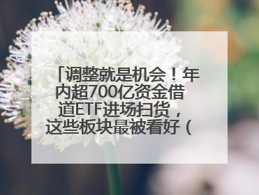 调整就是机会！年内超700亿资金借道ETF进场扫货，这些板块最被看好（附名单）