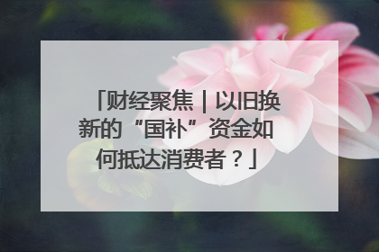 财经聚焦｜以旧换新的“国补”资金如何抵达消费者？