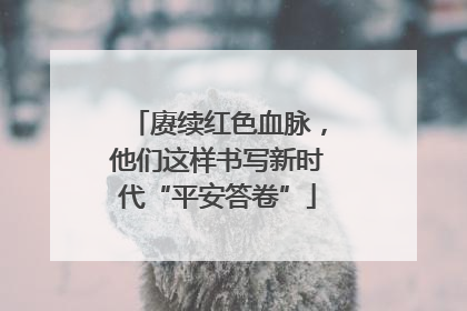 赓续红色血脉,他们这样书写新时代“平安答卷”