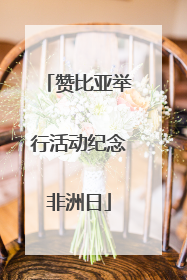 赞比亚举行活动纪念非洲日