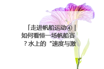 走进帆船运动④｜如何看懂一场帆船赛？水上的“速度与激情”同样精彩
