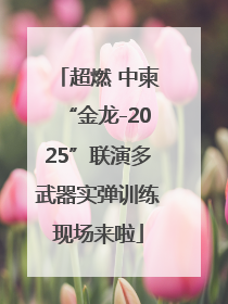 超燃 中柬“金龙-2025”联演多武器实弹训练现场来啦