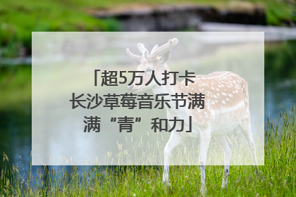 超5万人打卡 长沙草莓音乐节满满“青”和力