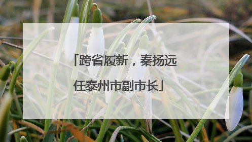 跨省履新，秦扬远任泰州市副市长