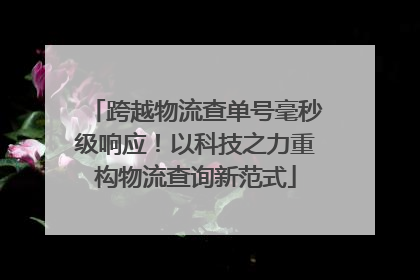 跨越物流查单号毫秒级响应！以科技之力重构物流查询新范式